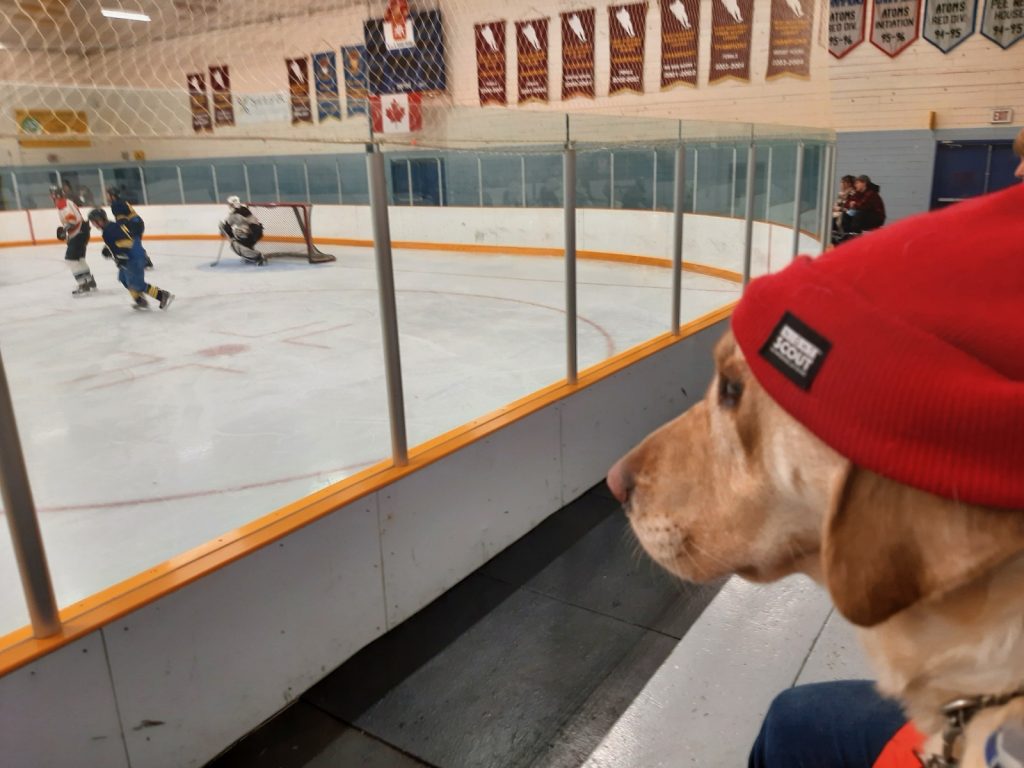 Dainty at her first hockey game