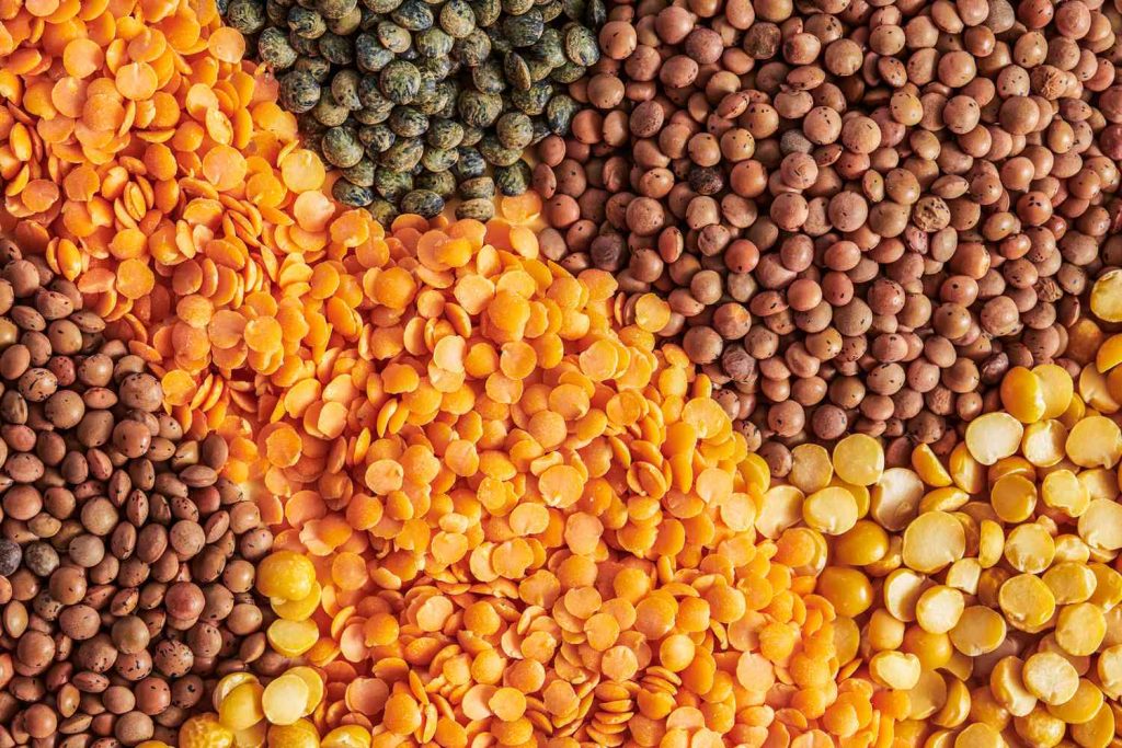 picture of a variety of lentils